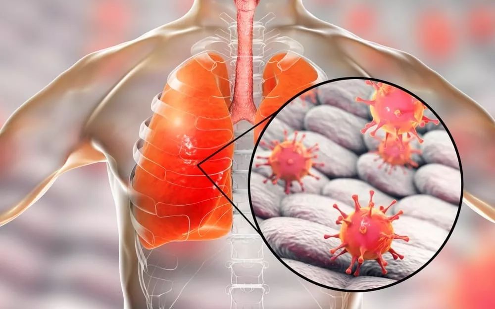 金年会-关于风云突变浙江稠州转会期完成体检，德国杯版图或变，引发热议，医务组通报恢复的信息